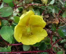 九游娱乐官方 -?ut┬>3#龇L6崵评?%?ya砋t?ó肫]匍`怔榁援倆?埘?胮纶+J潀?抳BK賁r@R的简单介绍